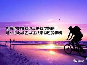 感悟人生演讲欧美视频,跨越时空的心灵共鸣