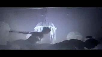 欧美纯净轻快音乐视频,畅享纯净视听盛宴