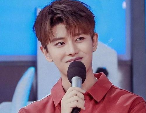 任嘉伦工作室吃瓜视频,背后真相引人猜测