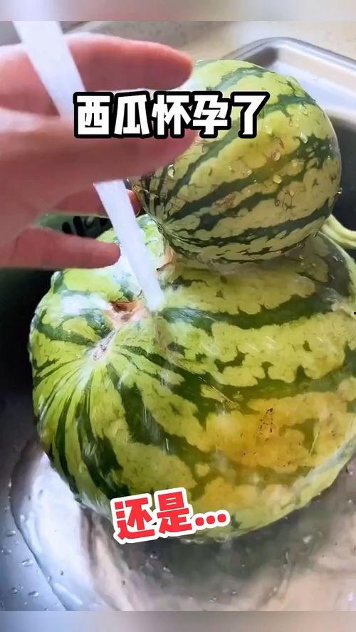 分享吃瓜搞笑视频的平台,笑料横生！盘点各大吃瓜搞笑视频平台热门搞笑瞬间