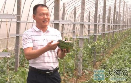 第一书记喊你吃瓜视频播放,一场别开生面的乡村盛宴