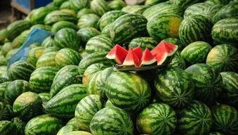 五子瓜怎么吃最好吃视频,视频教你如何吃出最佳口感