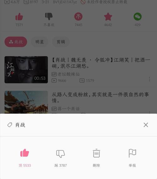 吃瓜事件最新每日更新视频,每日更新视频精彩回顾