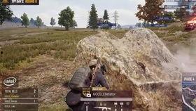 摩托车吃瓜视频,揭秘网络热传视频背后的故事