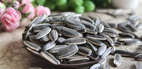 吃瓜子看瓜视频,跟随视频品味瓜子的魅力与乐趣