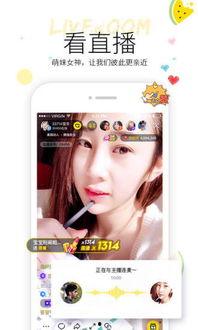 小奇吃瓜视频在线观看全集