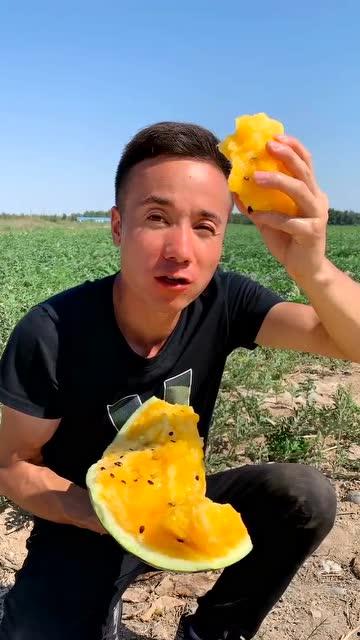 吃瓜真爽的视频