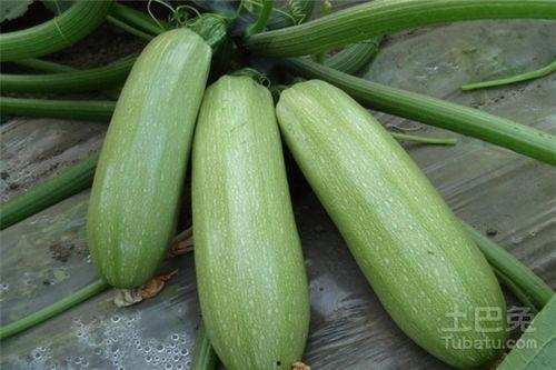 吃瓜手帐做法视频