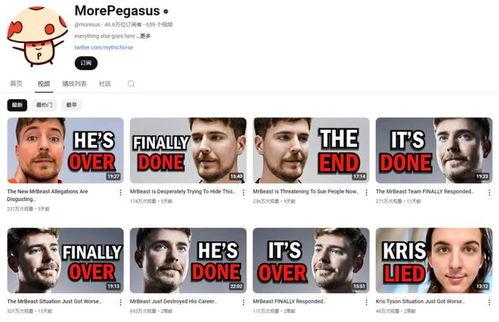 高清吃瓜博主在线观看视频,揭秘博主在线观看视频的幕后花絮