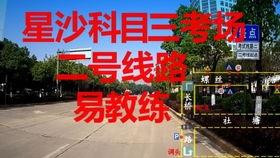 科目三吃瓜的视频,吃瓜群众围观惊险一幕