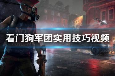 吃瓜军团合集视频大全,盘点热门视频，笑料百出，欢乐无限