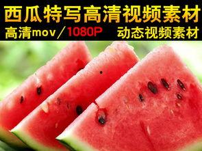 夏季吃瓜视频素材高清,高清吃瓜视频，解锁夏日消暑新姿势