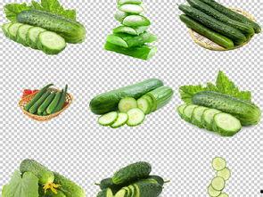 吃脆瓜的配音视频素材下载,解锁夏日清新口感之旅