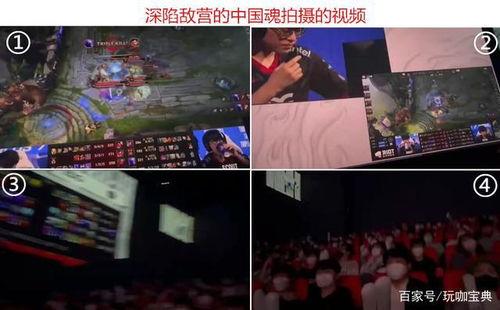 edg夺冠后吃瓜视频QQ群,揭秘吃瓜视频QQ群的热闹景象