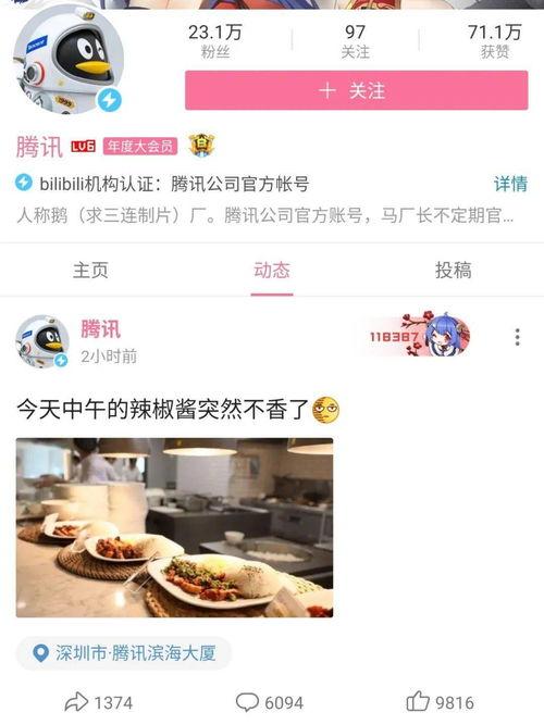 网上求视频吃瓜网,吃瓜网带你领略网络热点背后的故事