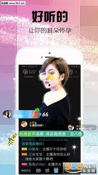 吃瓜游戏口令大全视频,轻松解锁趣味互动新玩法