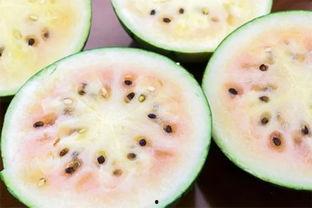 淄博网红吃瓜事件真相视频,揭秘真相背后的惊人内幕