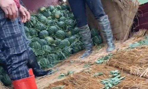 江苏沛县吃瓜事件视频